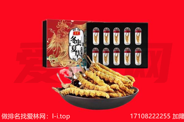 成都新津区回收虫草.jpg